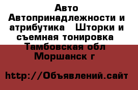 Авто Автопринадлежности и атрибутика - Шторки и съемная тонировка. Тамбовская обл.,Моршанск г.